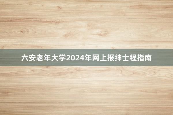 六安老年大学2024年网上报绅士程指南