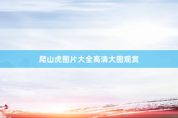 爬山虎图片大全高清大图观赏
