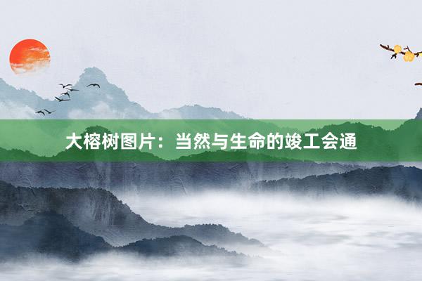 大榕树图片:当然与生命的竣工会通