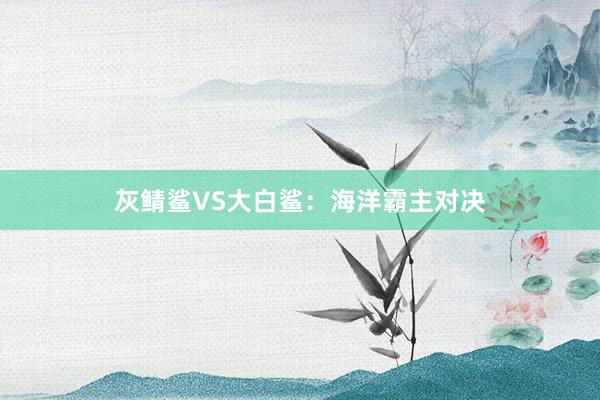 灰鲭鲨VS大白鲨：海洋霸主对决